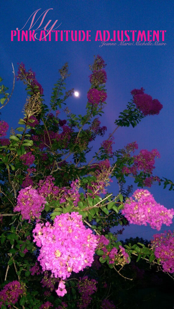 photo by Jeanne Marie/art MichelleMarie/Pink Stay-cation Pink Brenda