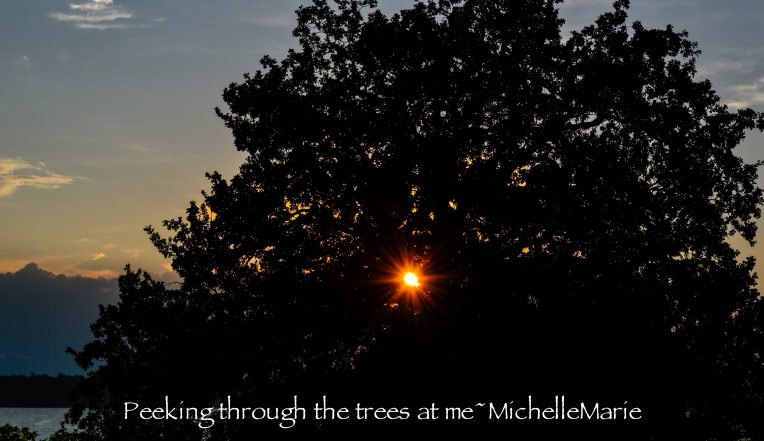 Peekingthrough (1 of 1)