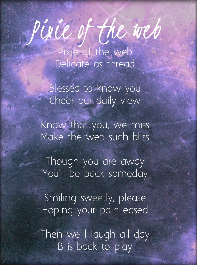 photo by Belinda, poem by Richard, art by MichelleMarie