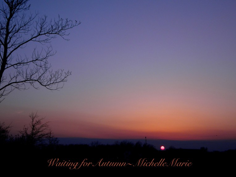 WaitingforAutumn copy