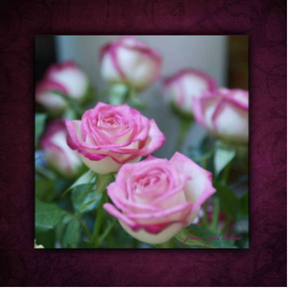 Art by MichelleMarie/photo by you