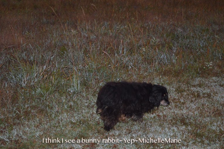 photo by MichelleMarie