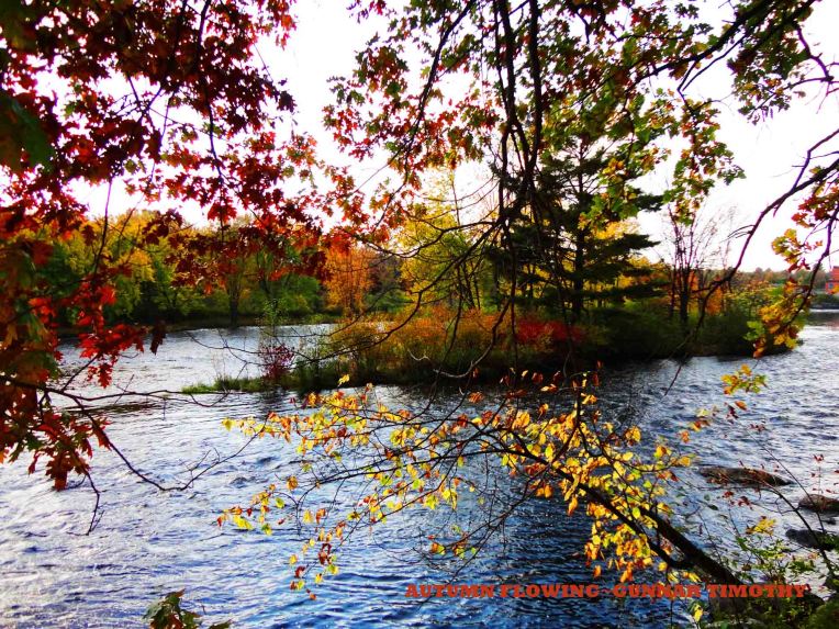 photo by Gunnar Timothy