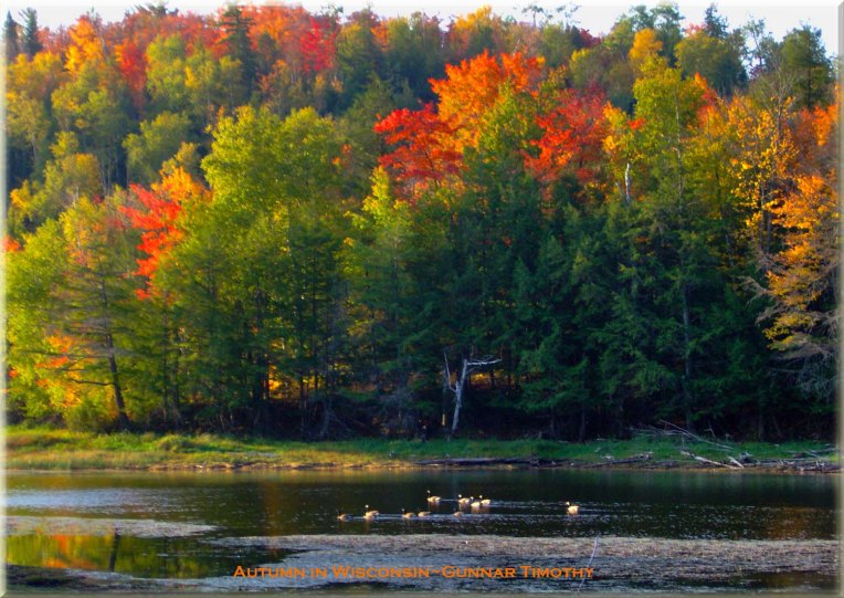 Photo by Gunnar Timothy