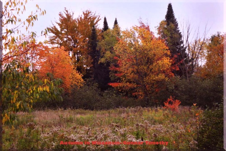 photo by Gunnar Timothy