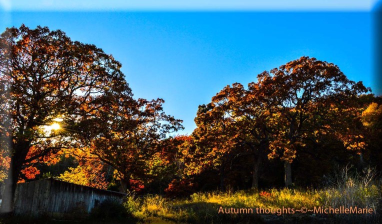 photo by MichelleMarie