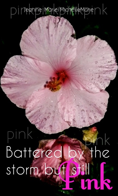 photo by Jeanne Marie/art by MichelleMarie