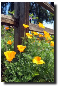 We have so much for which to be thankful!