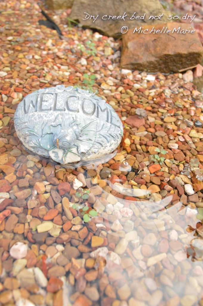 photo by MichelleMarie