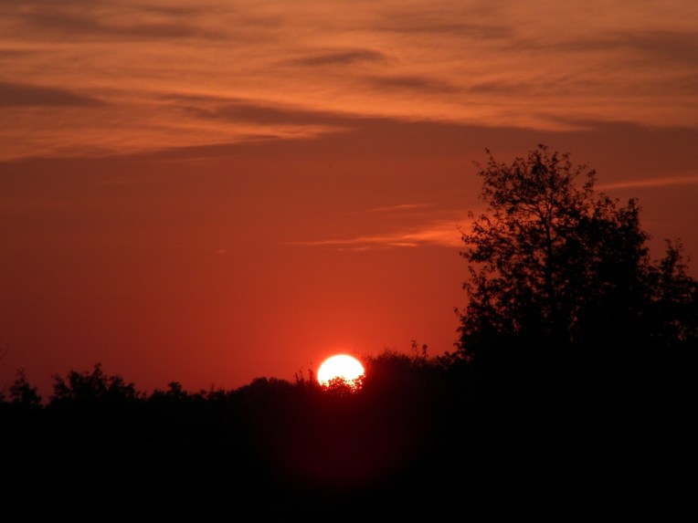 photo by MichelleMarie~NO PHOTOSHOP ON THIS PHOTO NOT EVEN MY WATERMARK