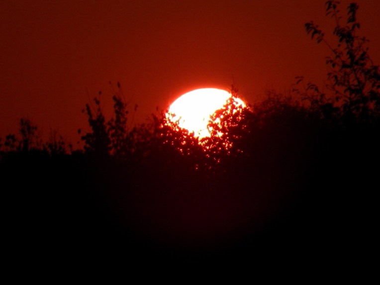 DSCN4195 (1280x960) (1280x960)