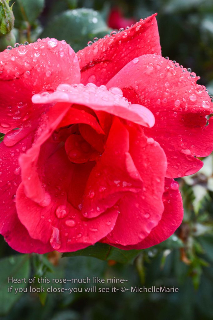 photo by MichelleMarie