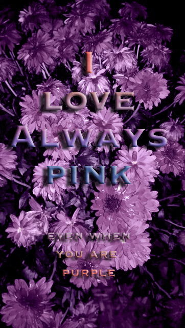 photo by Jeanne Marie/art by MichelleMarie