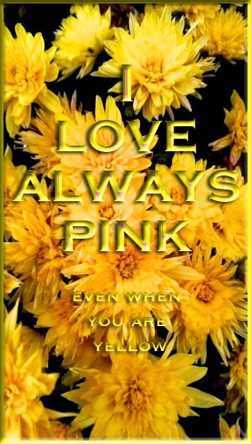 photo by Jeanne Marie/art by MichelleMarie