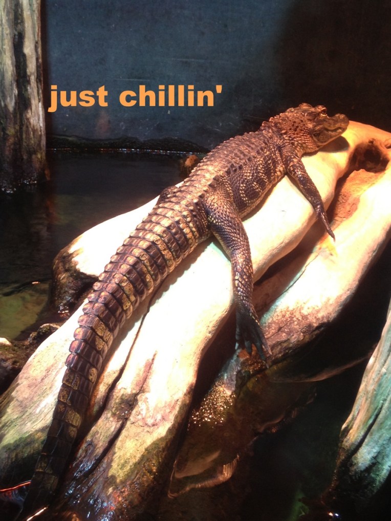 photo by MichelleMarie