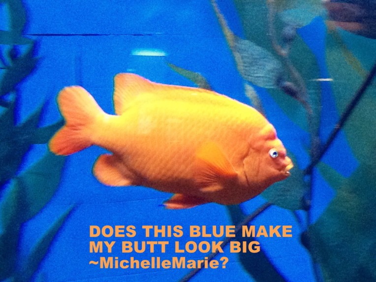 photo by MichelleMarie