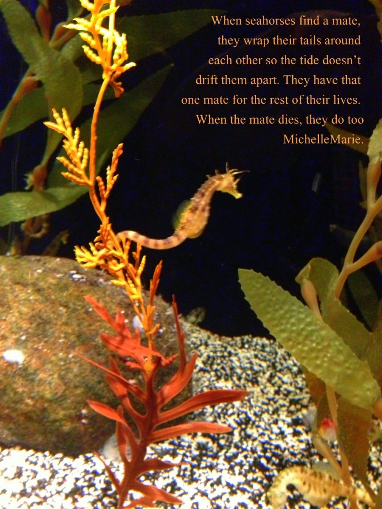 photo by MichelleMarie