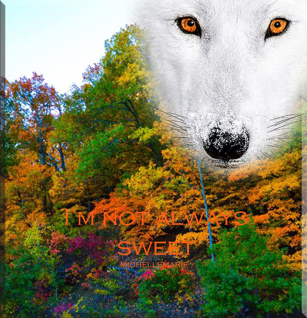 photo/art by MichelleMarie