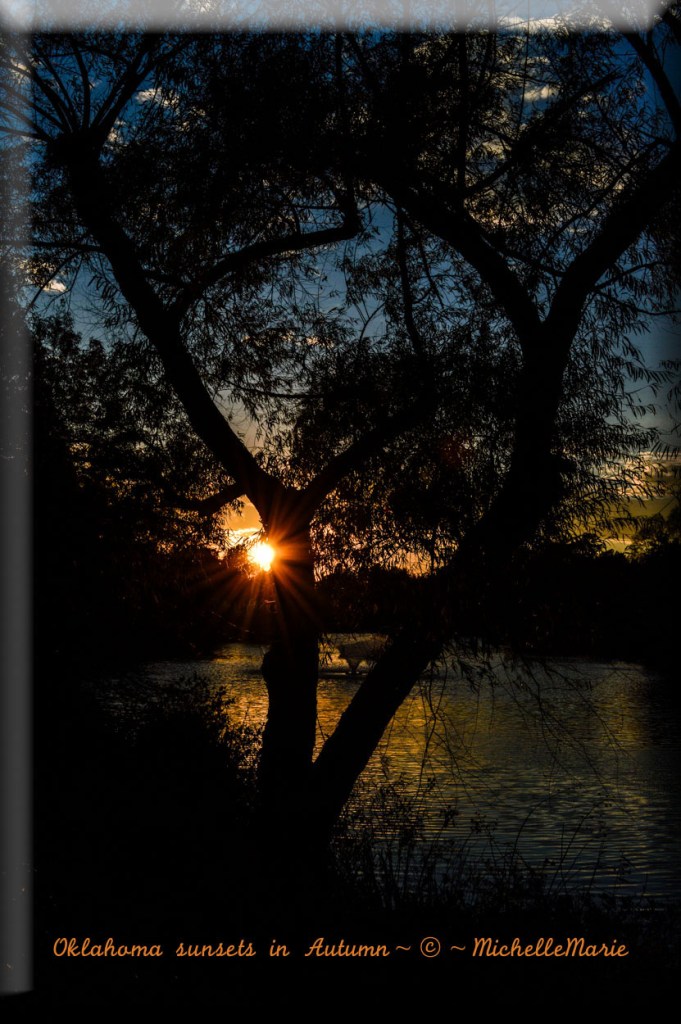 photo by MichelleMarie