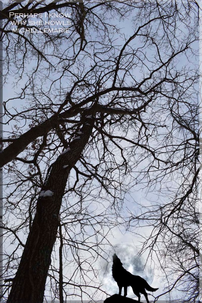 photo/art by MichelleMarie