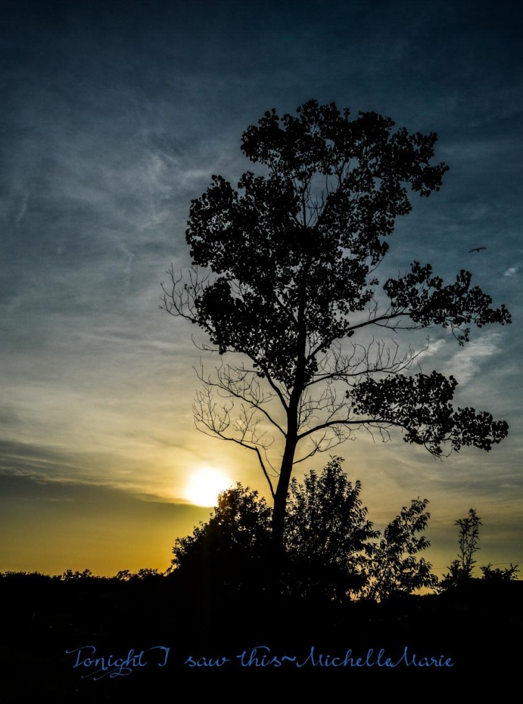 photo by MichelleMarie