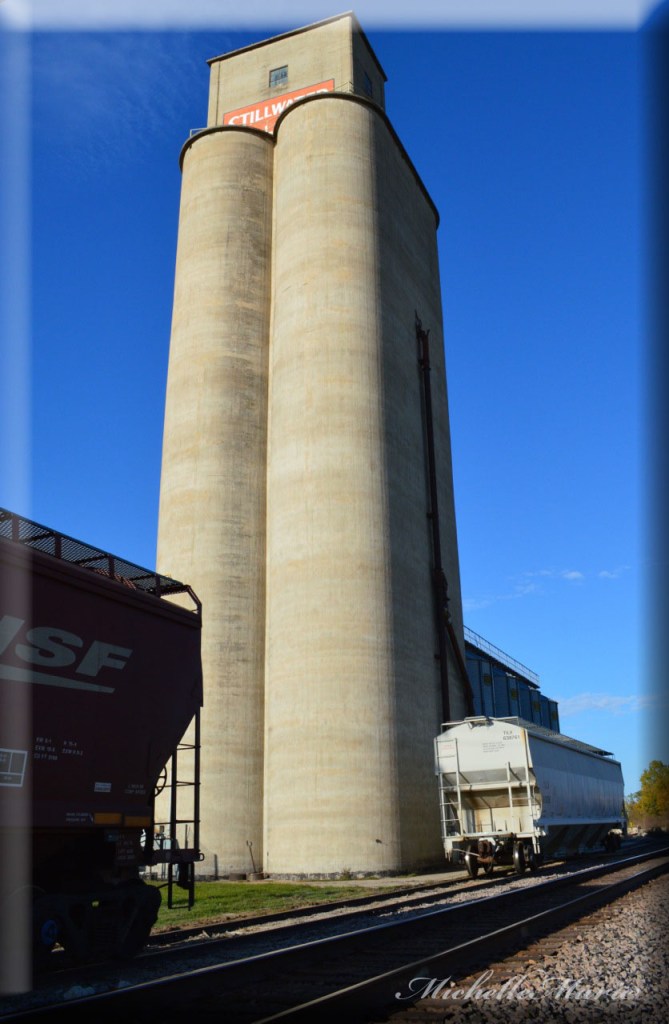 photo by MichelleMarie