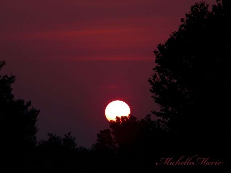 Art by MichelleMarie