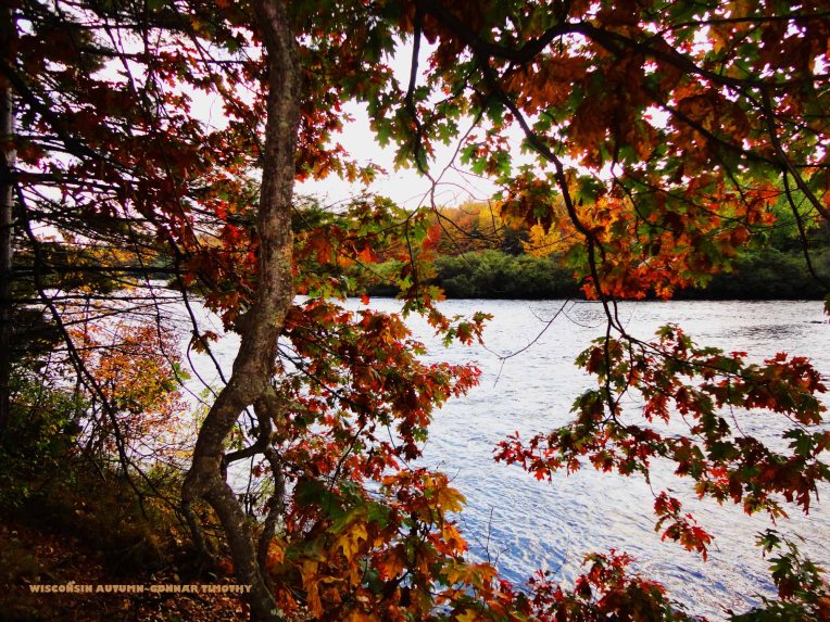 photos by Gunnar Timothy