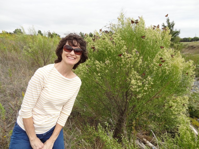 MonarchsPlanoMargieOct2014