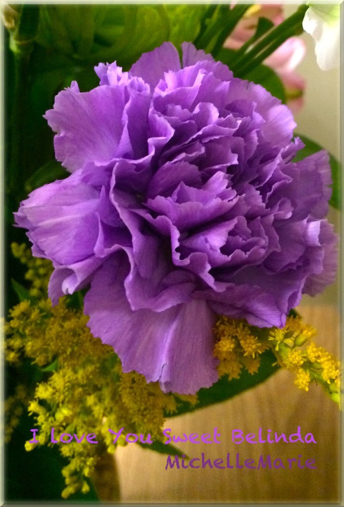 FlowertoBrightenYourDay