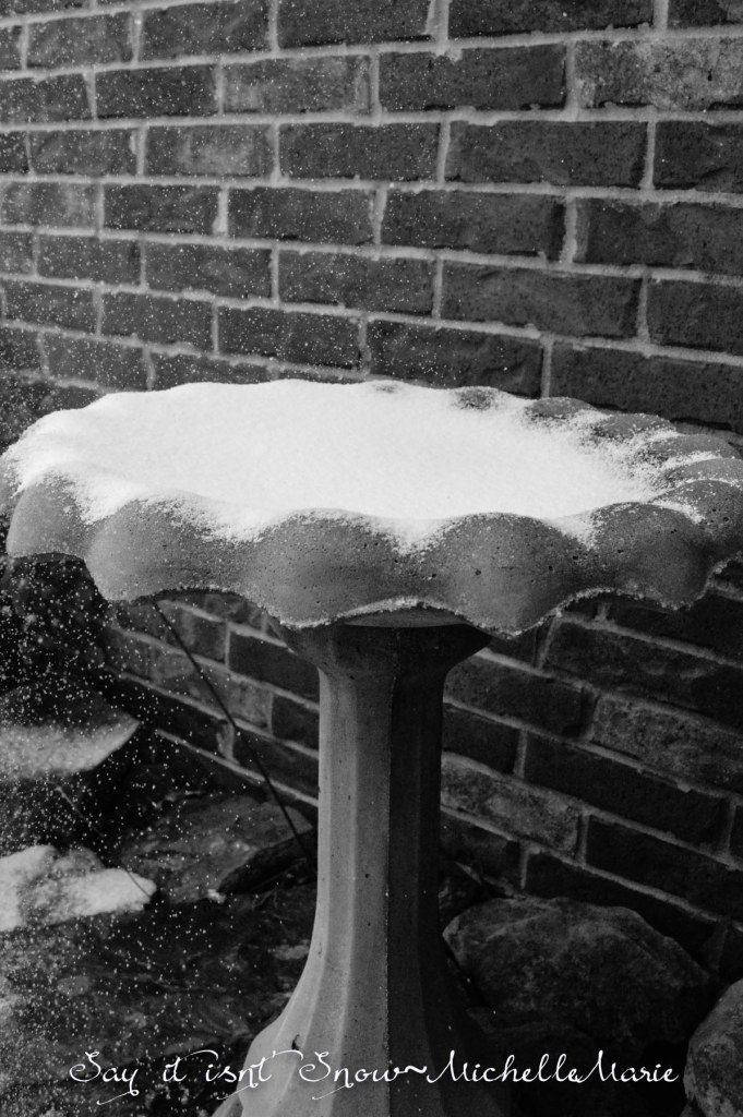 Sayitisntsnow (1 of 1)