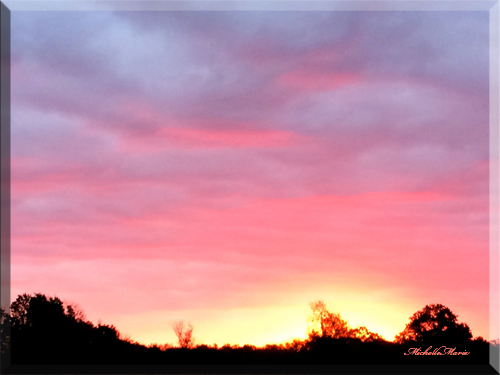 photo by MichelleMarie