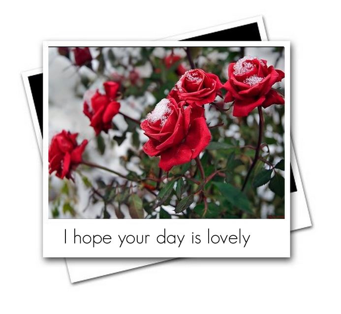 ihopeyourdayislovely