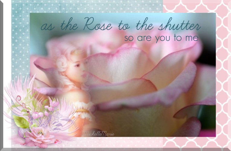 astherosetotheshutter