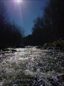 IMG_0406 a river running through