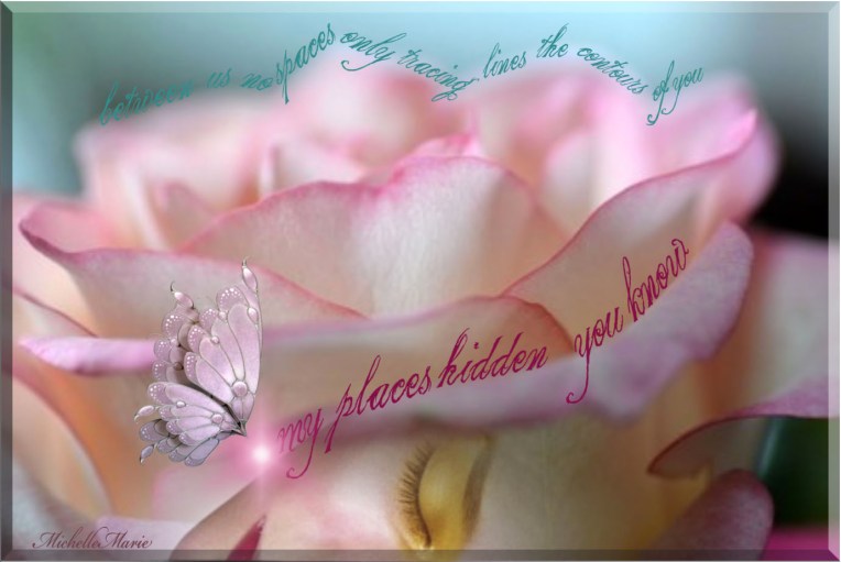 placesspacescontours