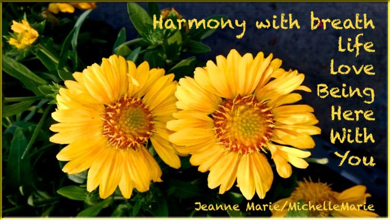 Harmony