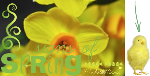 signsofspring