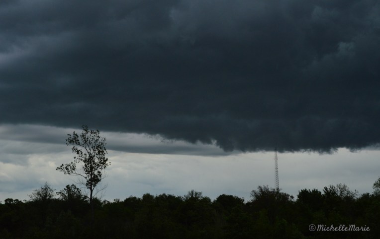 DSC_0189Wallcloud