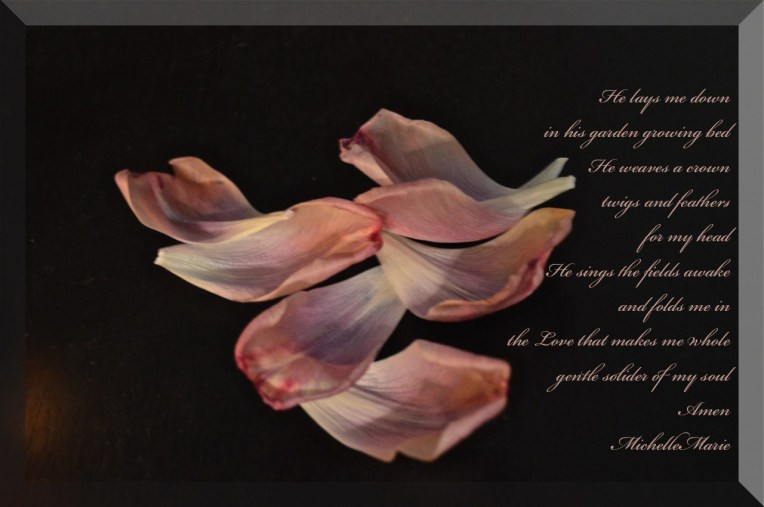 gentlesoliderofmysoul