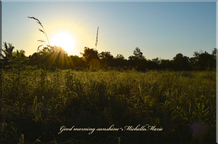 goodmorningsunshine