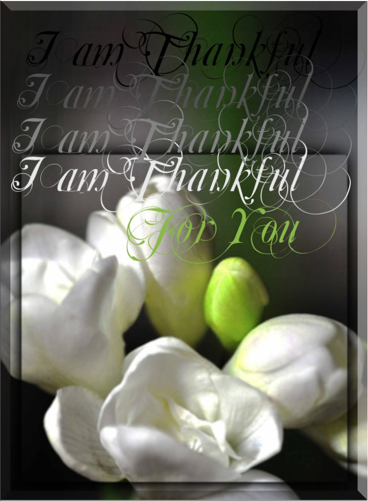 Iamthankfulforyou