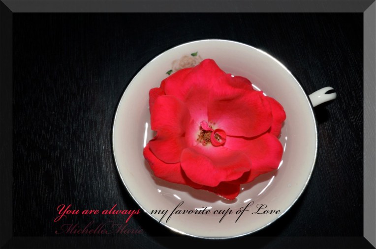 myfavoritecupoflove