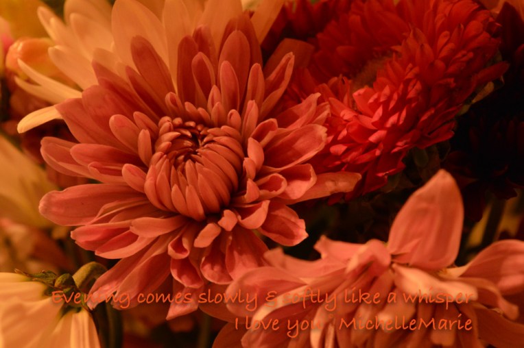 Eveningcomesoftlylikelove (1 of 1)