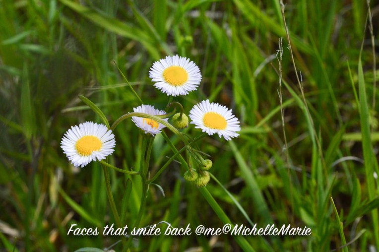 Facesthatsmileasismileback (1 of 1)