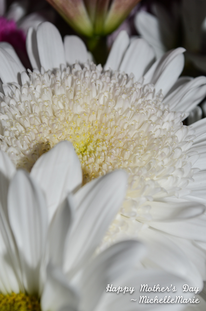 HappyMotherDay (1 of 1)-2