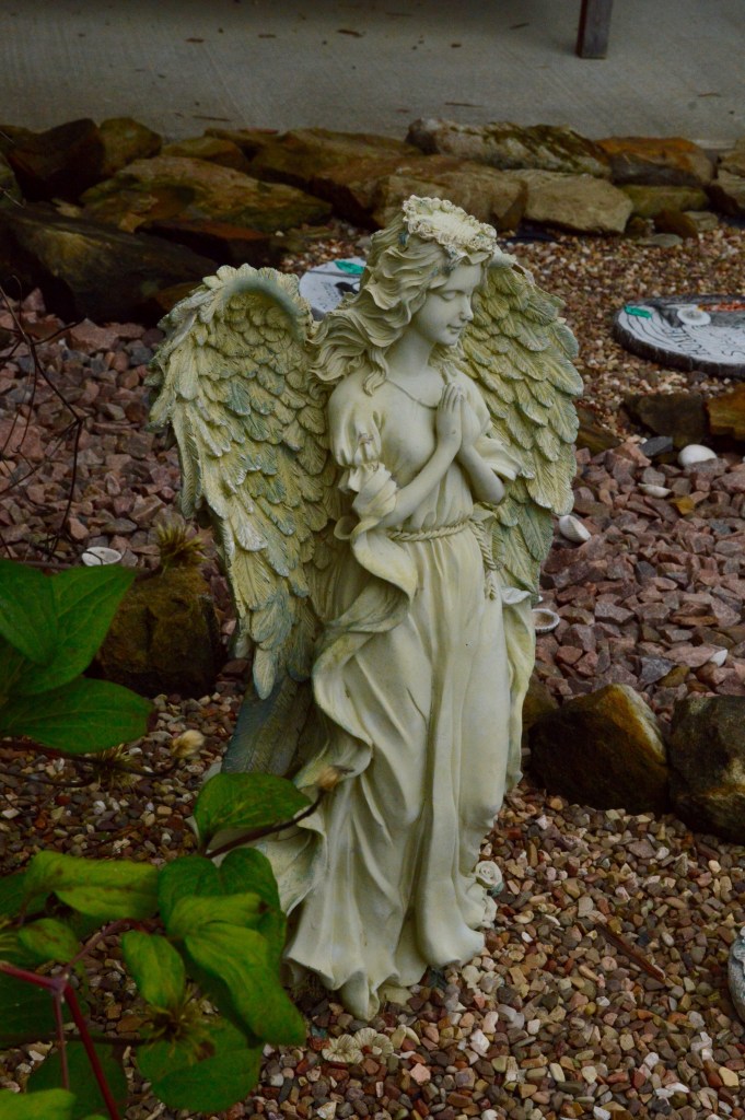 inevermeanttowither - 1