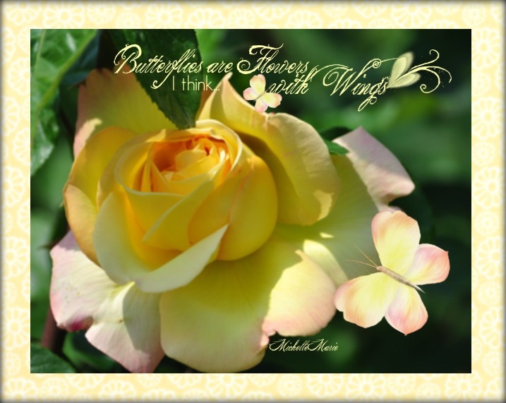 Ithinkbutterfliesareflowerswithwings