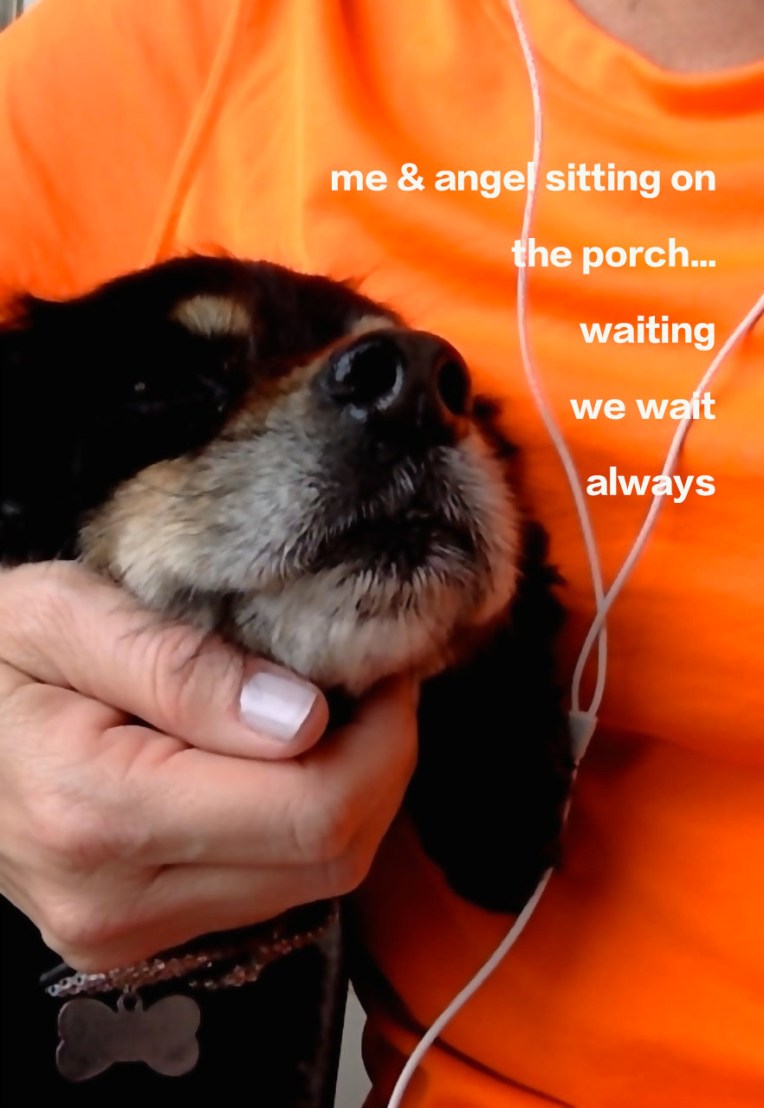 my4leggedfriend copy