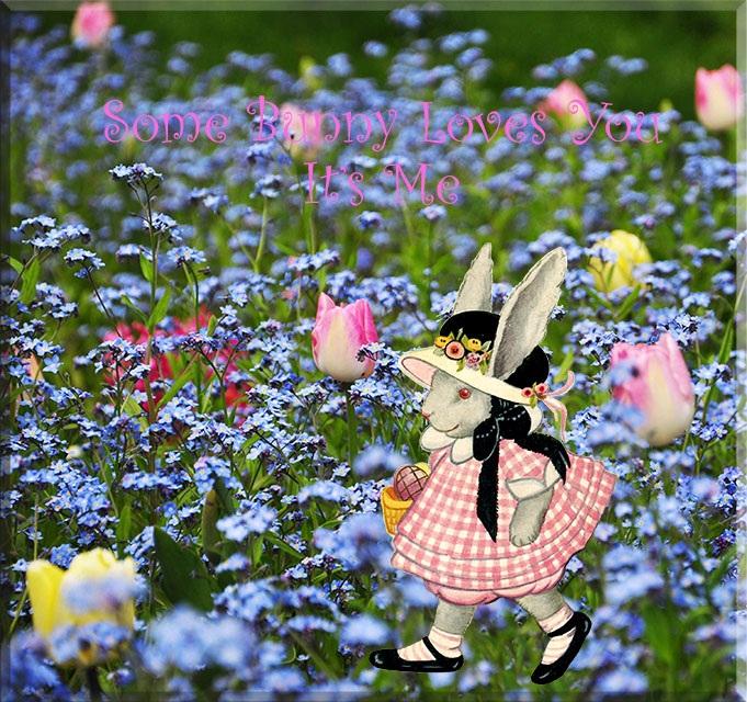 SomeBunnyLovesYou